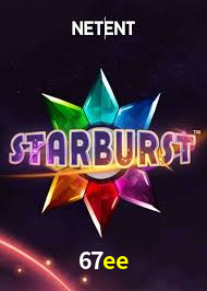 Interface Premium 67ee